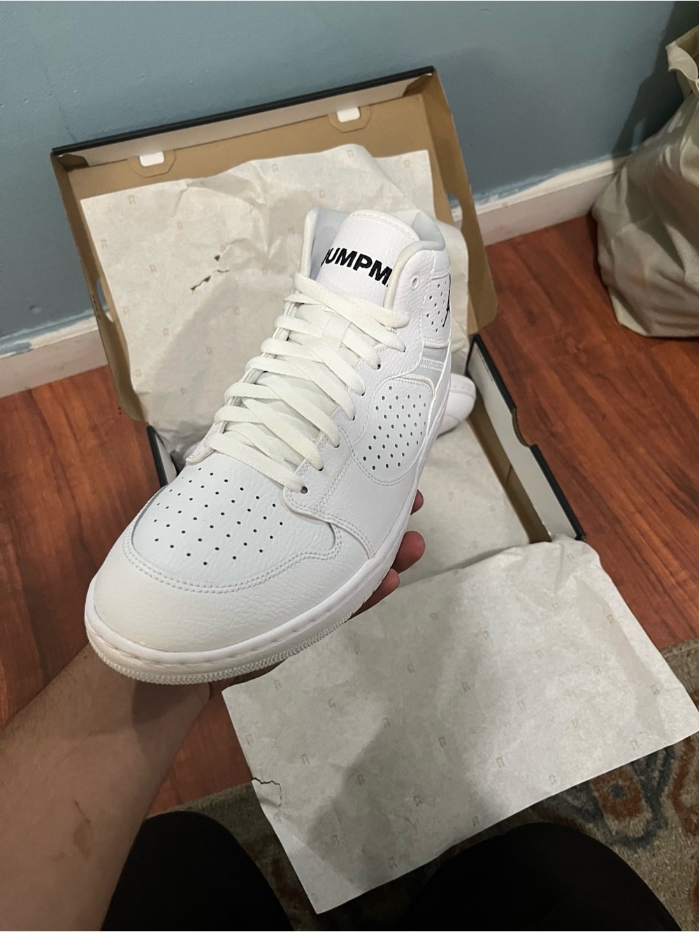 Air Jordan Access - Picture 2 of 9
